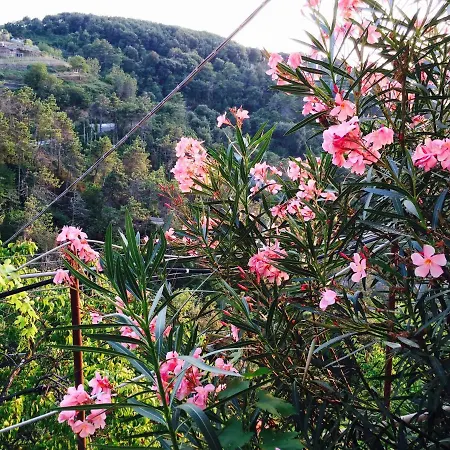 Ferienhaus Seroa 1 San Bernardino