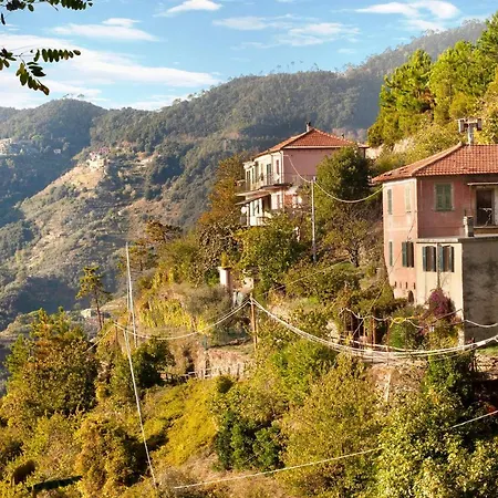 Seroa 1 San Bernardino